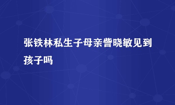 张铁林私生子母亲訾晓敏见到孩子吗