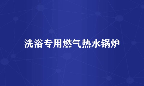 洗浴专用燃气热水锅炉