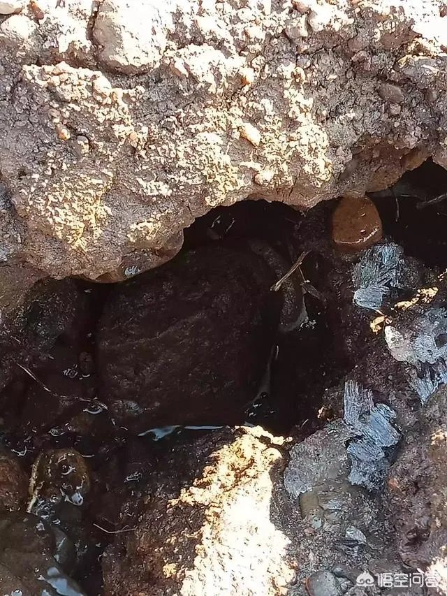 为什么有人说DNF卡恩是最强的，那以后的冒险家能打吗？