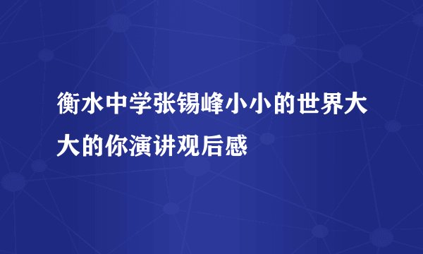 衡水中学张锡峰小小的世界大大的你演讲观后感