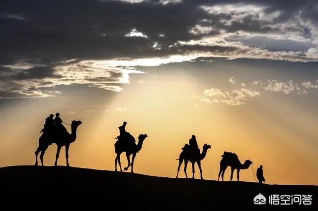 高进创作的歌曲大全