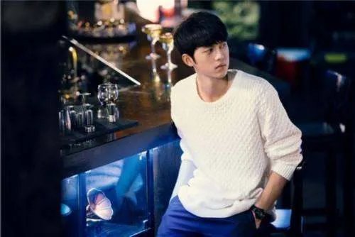 和谢娜同姓的艺人谢彬彬是何许人也，他有哪些个作品？