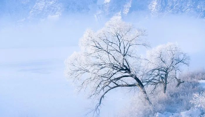 2021年数九寒天几九最冷 2021年数九什么时候最冷