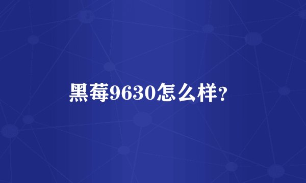 黑莓9630怎么样？