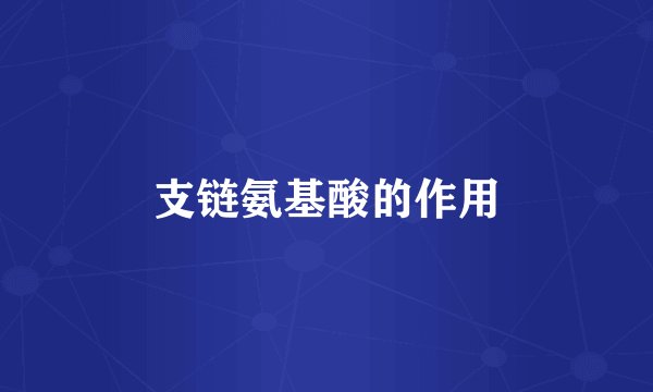 支链氨基酸的作用