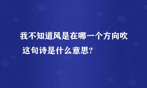 我不知道风是在哪一个方向吹 这句诗是什么意思?