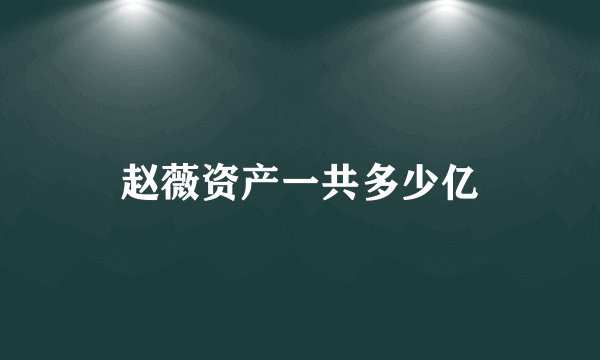 赵薇资产一共多少亿