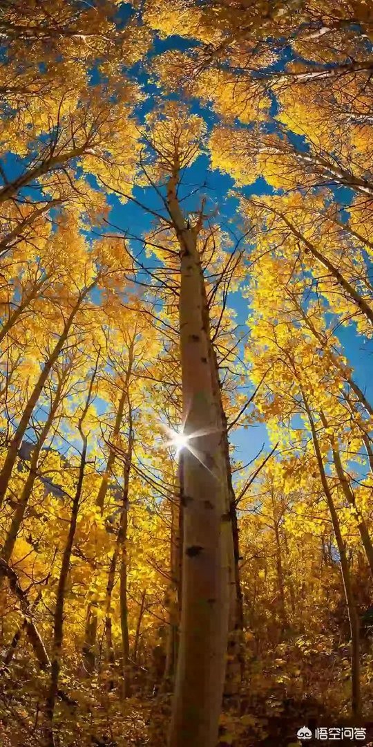 为什么有人说DNF卡恩是最强的，那以后的冒险家能打吗？