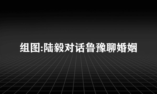 组图:陆毅对话鲁豫聊婚姻