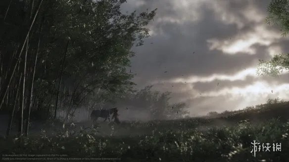 盘点2019年画质好到爆炸的单机游戏！款款都是大作