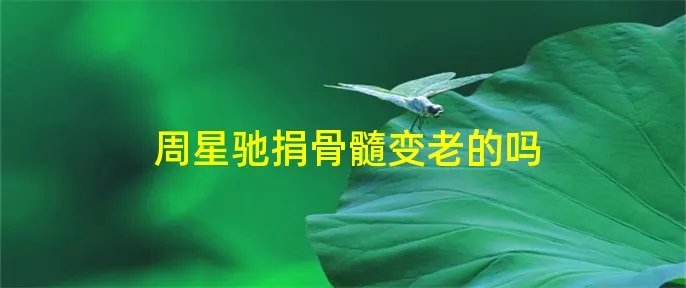 周星驰捐骨髓变老的吗