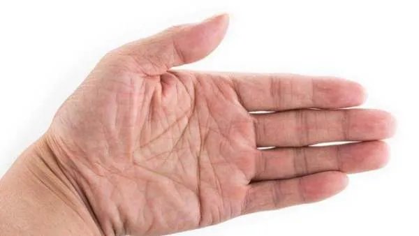 手指上的斗和簸箕有什么说法吗？分别代表了什么？