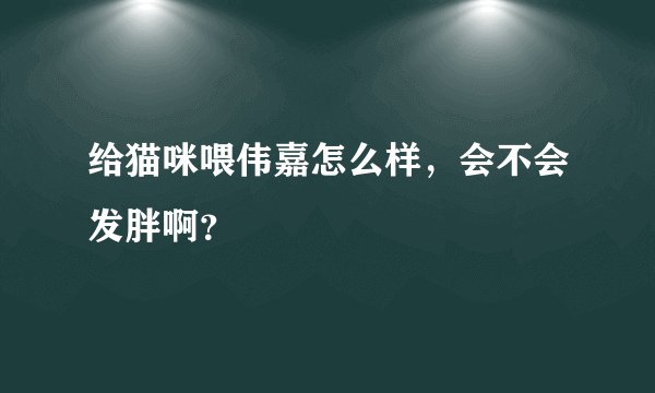 给猫咪喂伟嘉怎么样，会不会发胖啊？