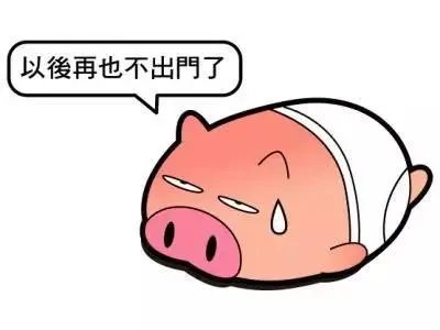 如果斯诺登回国，他会得到什么样的下场？