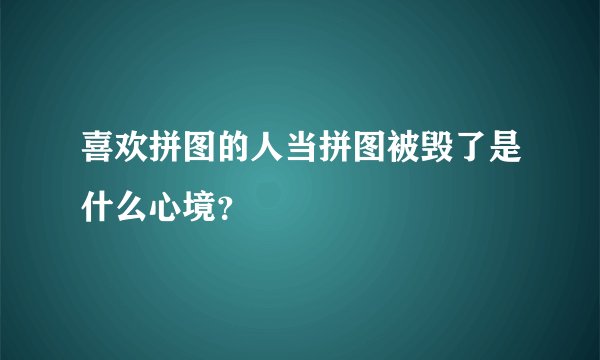 喜欢拼图的人当拼图被毁了是什么心境?