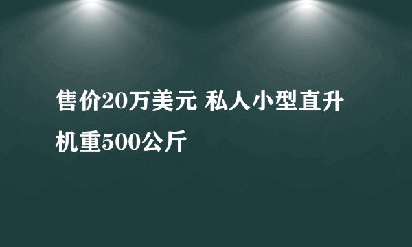 售价20万美元 私人小型直升机重500公斤
