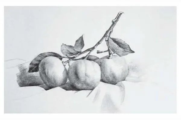 素描静物作画步骤图，有图的，有步骤的