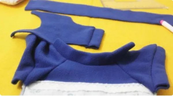 狗狗的衣服图片大全图片