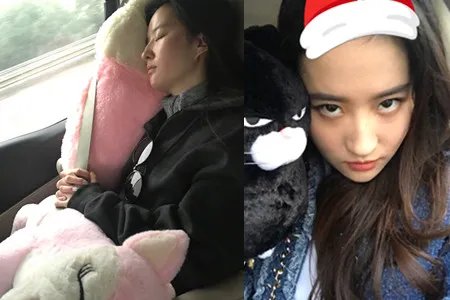 刘亦菲探班好友笑容甜美 宣传电影路演已圆满结束