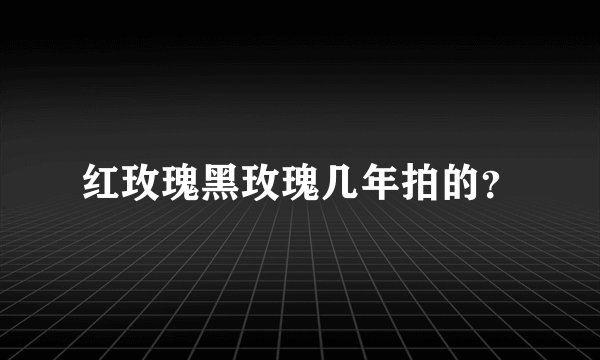 红玫瑰黑玫瑰几年拍的？