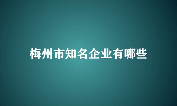 梅州市知名企业有哪些