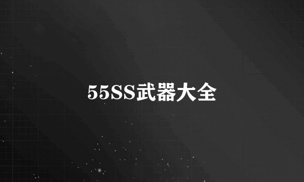 55SS武器大全