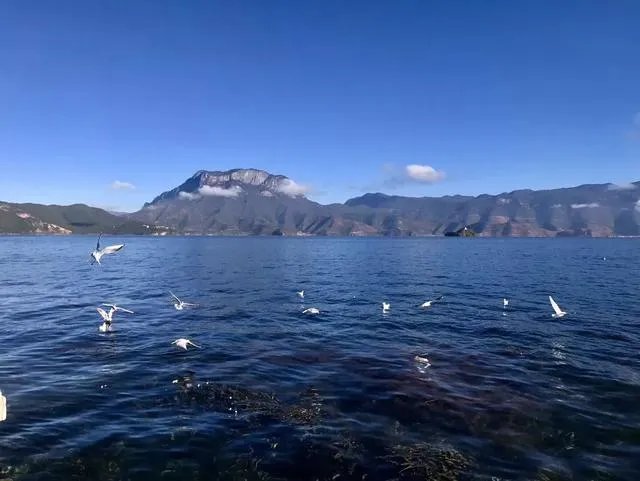 香格里拉和泸沽湖哪个更值得去？