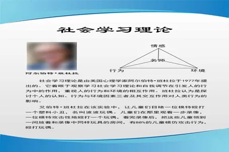 社会学习理论的主要观点