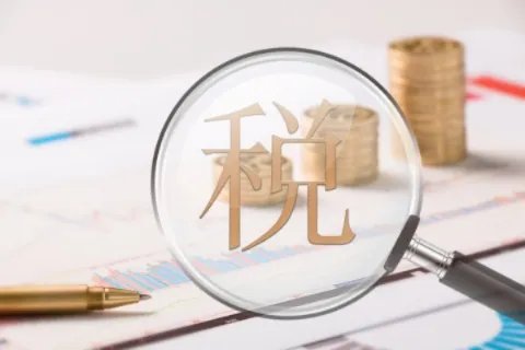 稽查局是做什么的