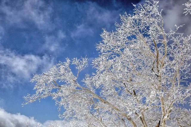 你喜欢看鬼吹灯电影吗，喜欢哪一部？