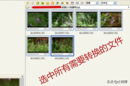 cr2转换成jpg颜色变了？
