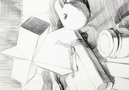 素描静物作画步骤图，有图的，有步骤的