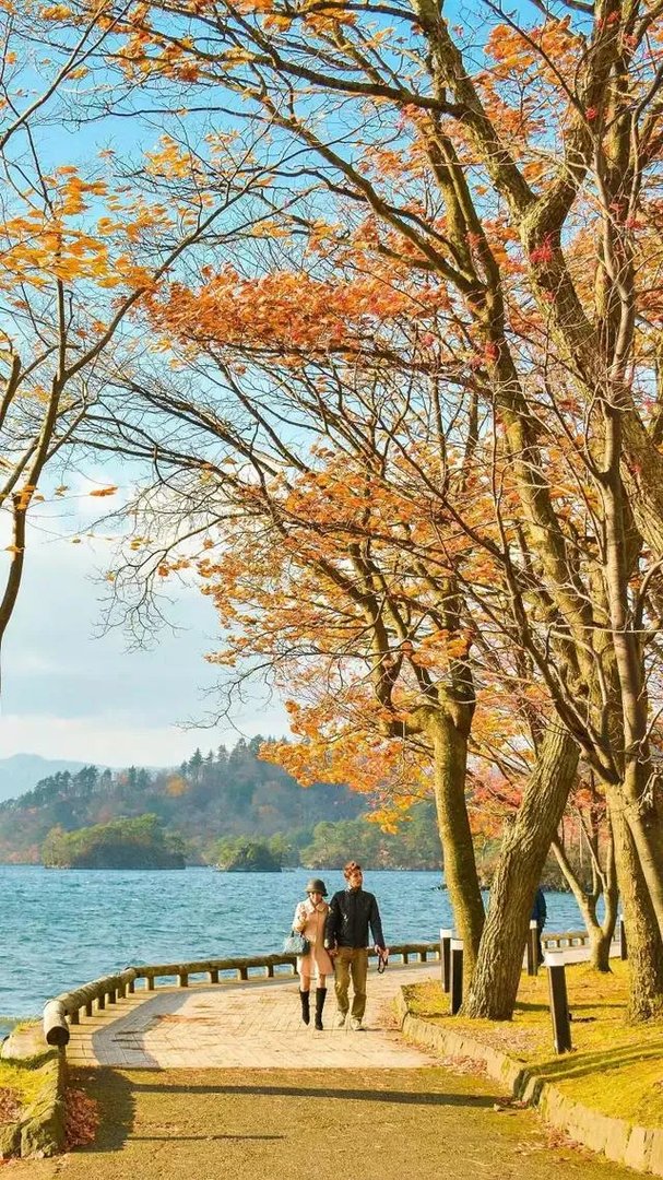 《非诚勿扰》的女嘉宾，如果都素颜出镜的话，会造成什么后果？