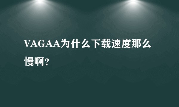 VAGAA为什么下载速度那么慢啊？