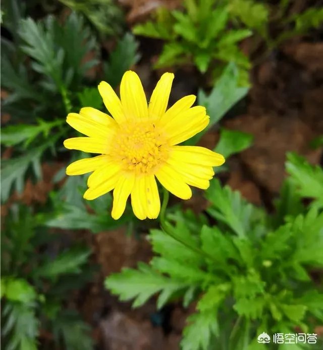 范冰冰和李晨分手了，你怎么看？