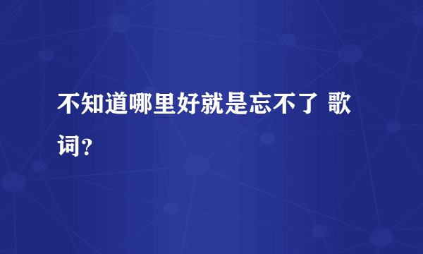 不知道哪里好就是忘不了 歌词？