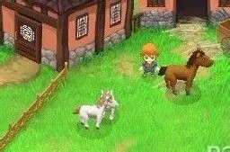 牧场物语双子村攻略