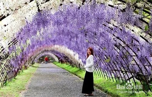 全球八大令人惊叹的隧道，中国郭亮隧道排名第一