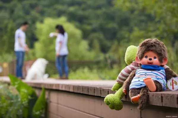 大学生谈恋爱结婚的成功率是多少?