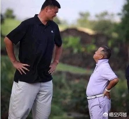 你觉得NBA球星和姚明一起合影会是什么效果？