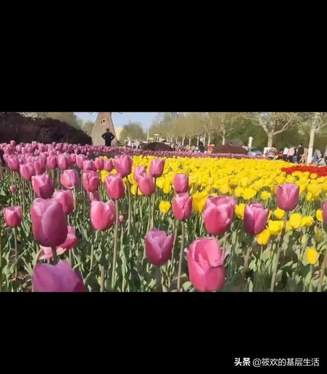 保定一日游最佳景点