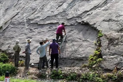 四川5岁男孩意外发现恐龙足迹，他是怎样发现的？