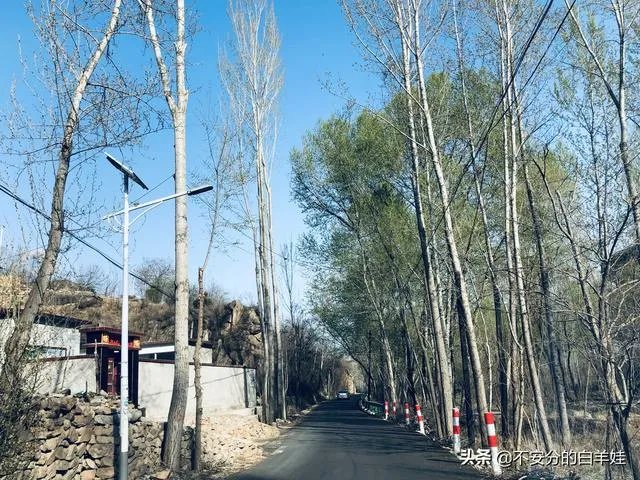 保定一日游最佳景点