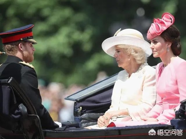 威廉和哈里两位王子和卡米拉的关系怎样？