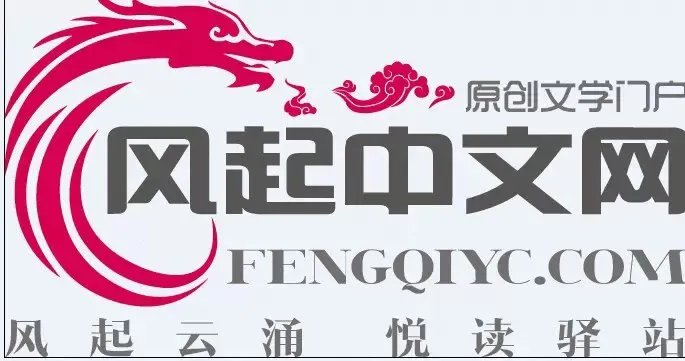 风起中文网的介绍