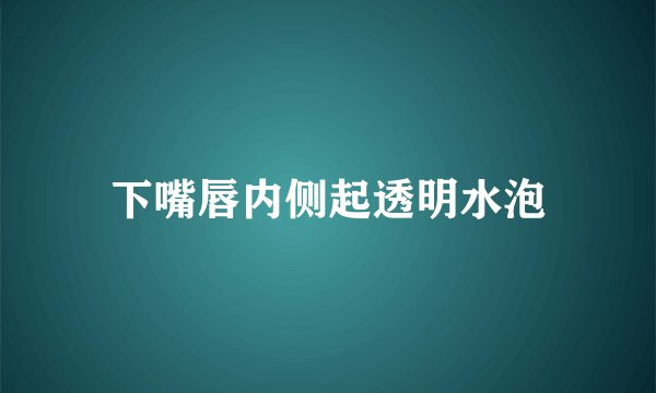 下嘴唇内侧起透明水泡