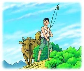 请问王小二放羊,是山羊,还是棉羊,脑筋急转弯