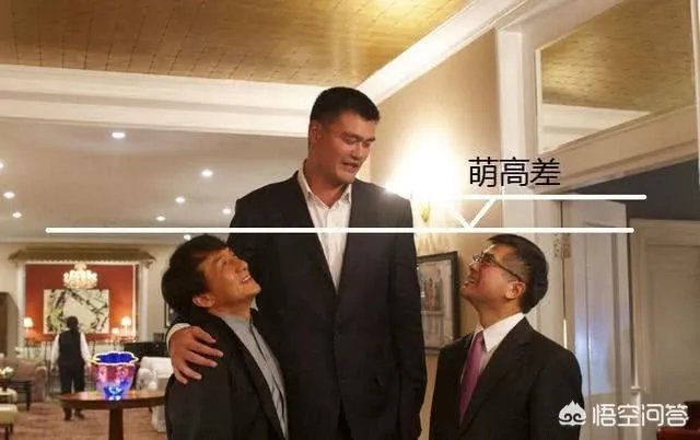 你觉得NBA球星和姚明一起合影会是什么效果？