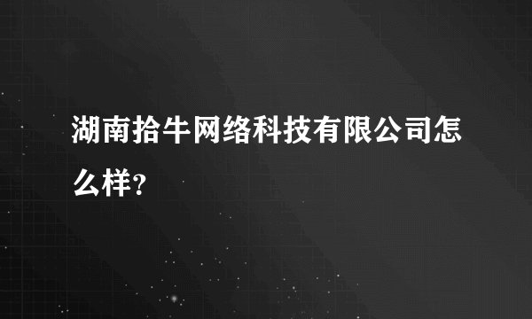 湖南拾牛网络科技有限公司怎么样？