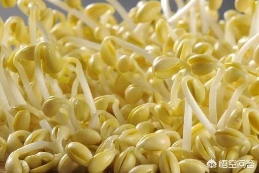 你见过哪些有趣的对联呢？